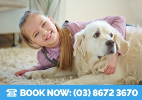 kids safe termite treatment